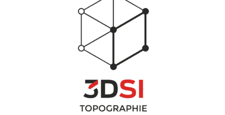 3dsi