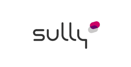 Sully Group