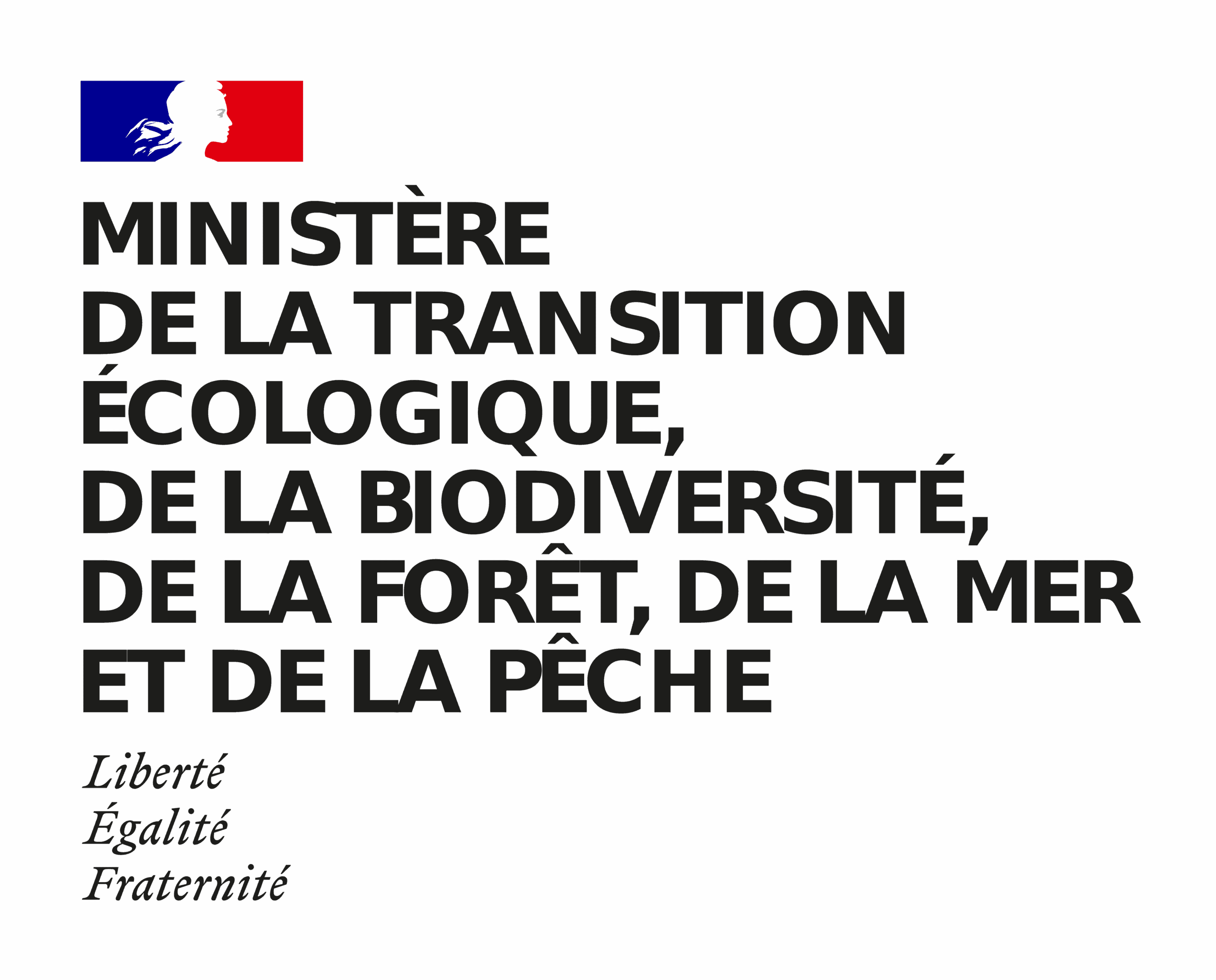 MIN_TEBFMP-RVB fond blanc