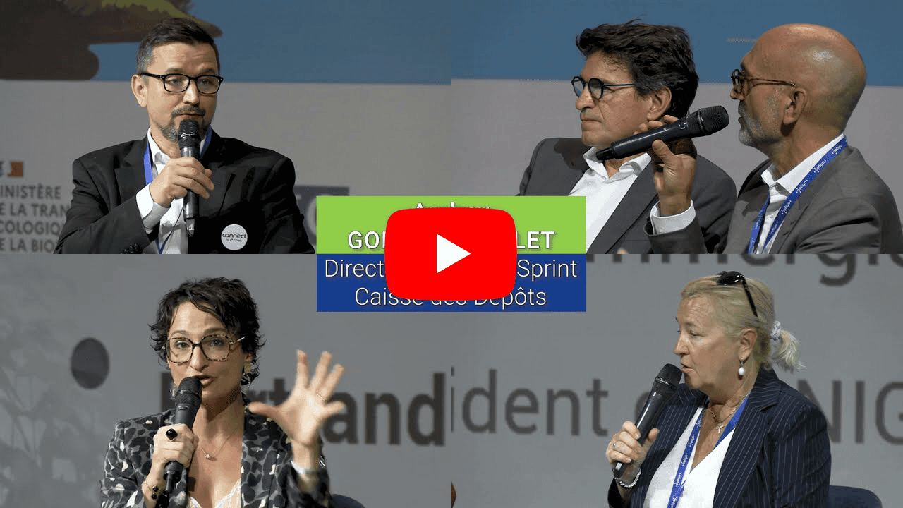 d6d96175ff7f7cbb308b08878beb586c364ff694019b51614580f8490039d1c1